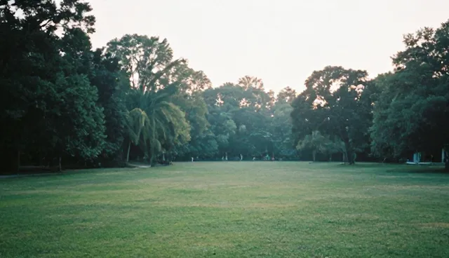 内容优化策略对搜索结果的影响分析
